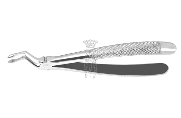 Zahnzange Haftprofil OK Wurzeln