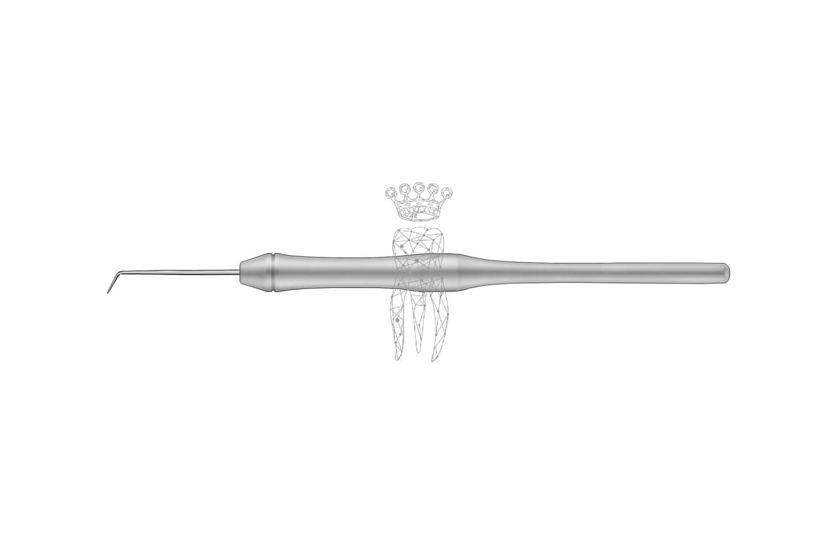 Ligaturen-Sonde starr nach Dr. Ecker 9.5mm Hohlgriff – Carl Martin, Explorers