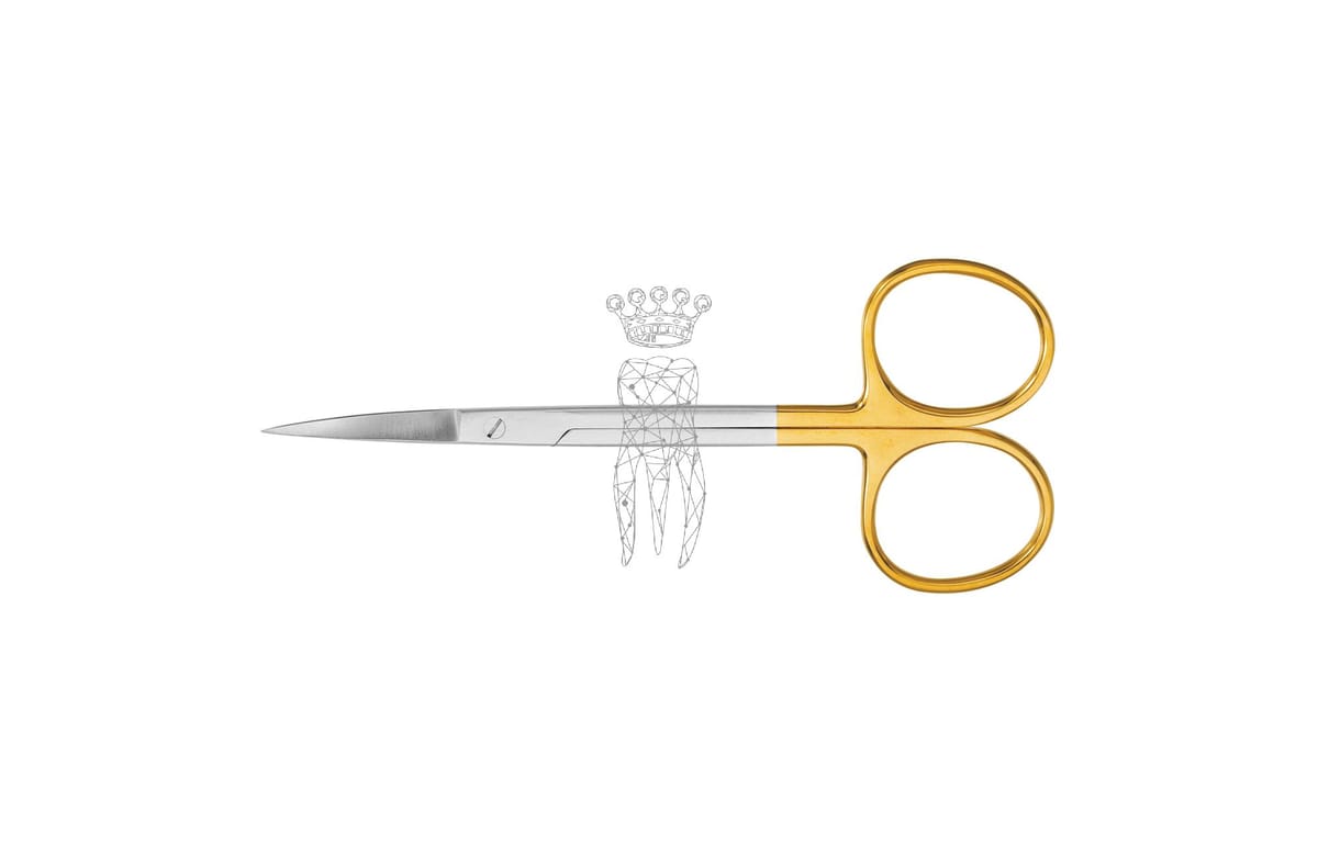 Zahnfleischschere gebogen 12cm TC – Carl Martin, Gingivectomy Knives - Gum Scissors