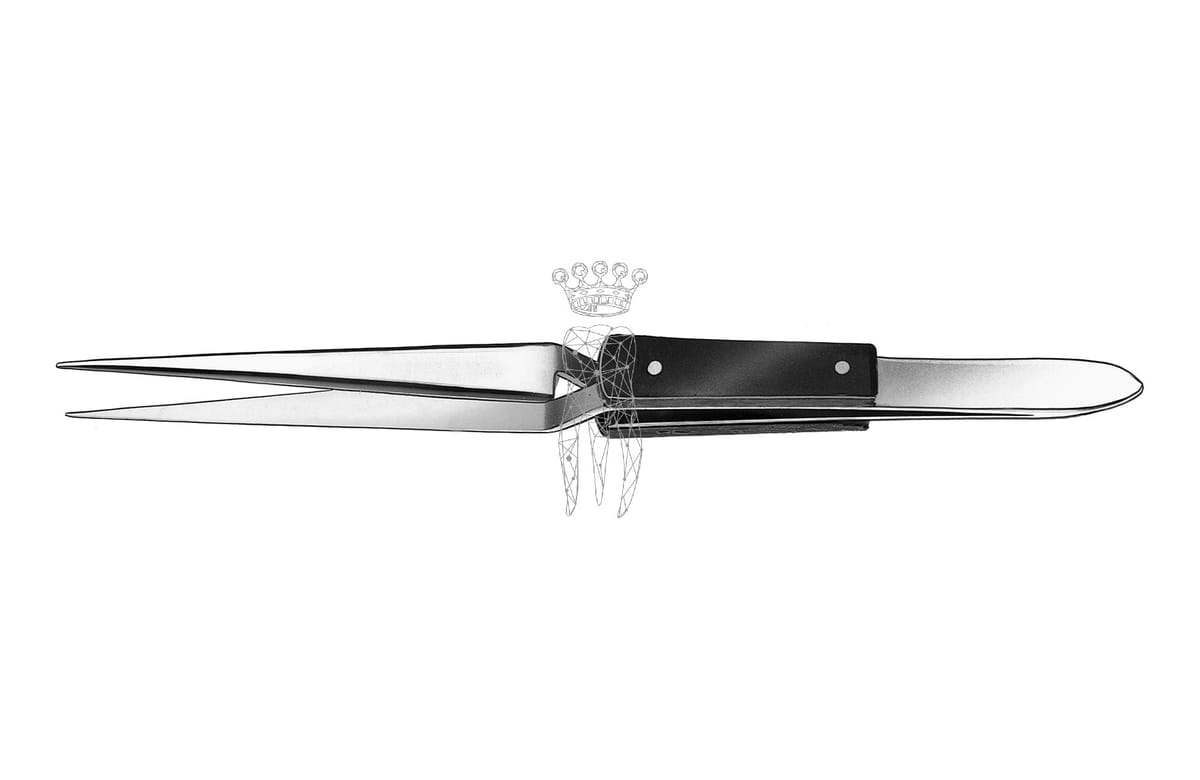Lötpinzette RS – Carl Martin, Laboratory Pliers