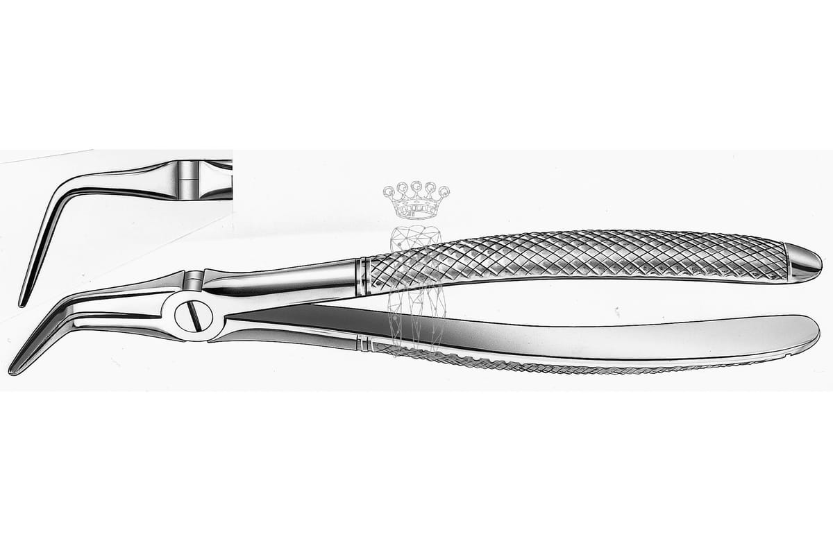 Wurzelsplitterzange UK Wurzeln/Wurzelsplitter – Carl Martin, Wurzelheber