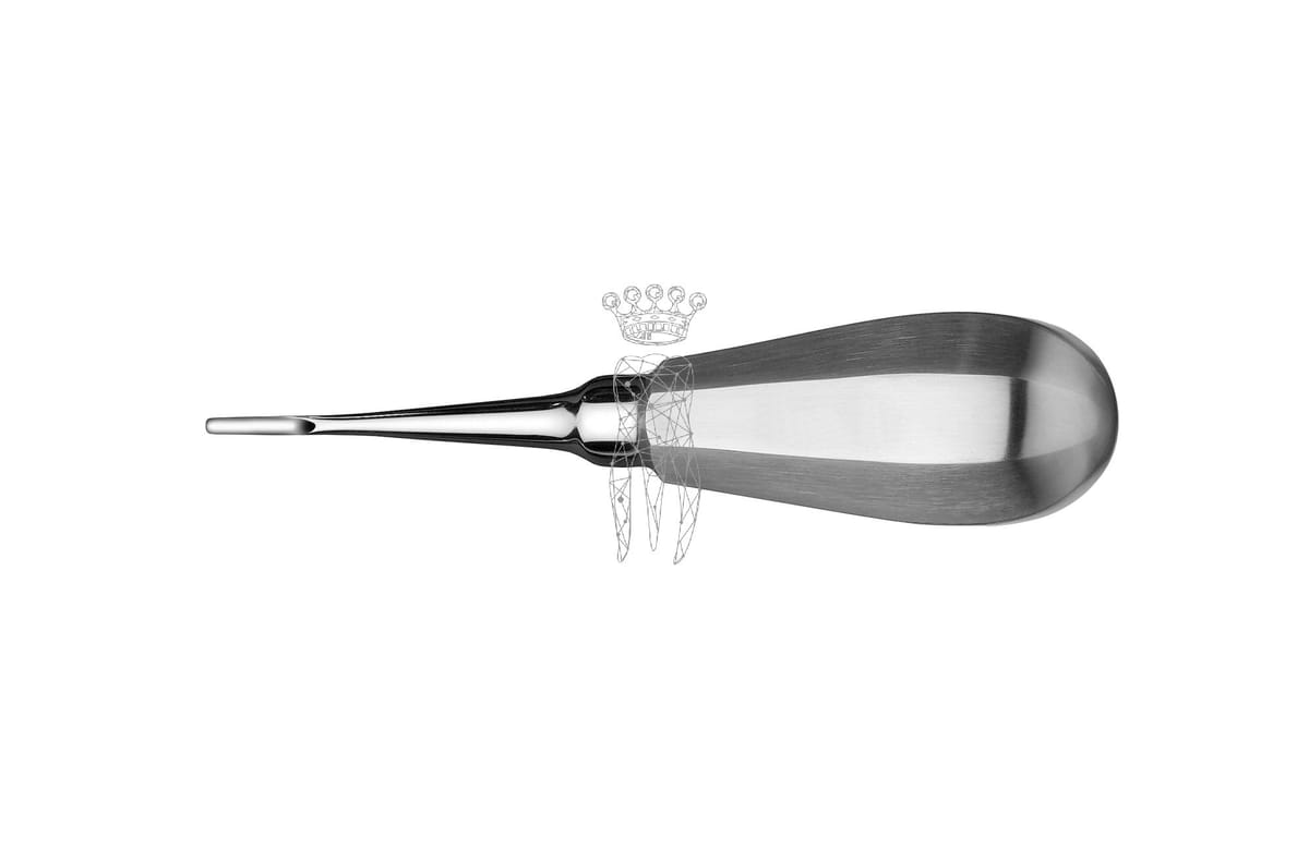 Wurzelheber 2.5mm – Carl Martin, Root Elevators
