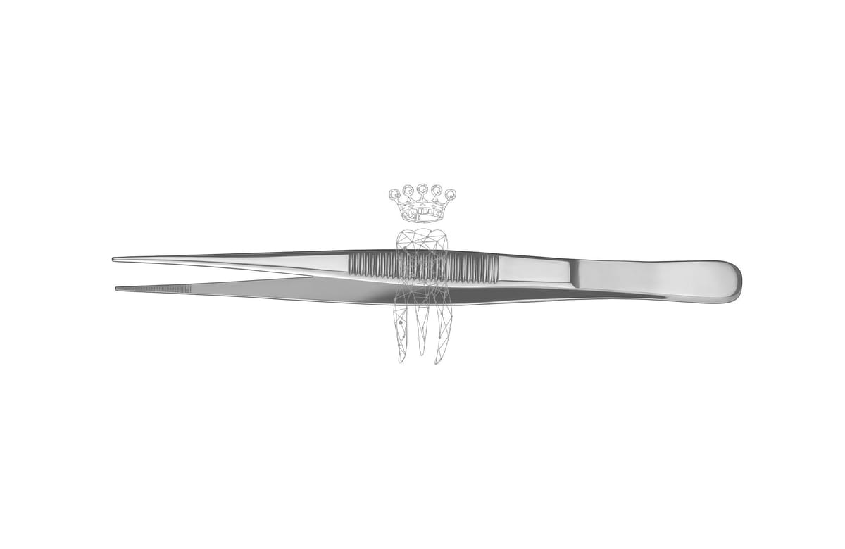 Pinzette anatomisch 14.5cm feines Arbeitsende – Carl Martin, Tweezers