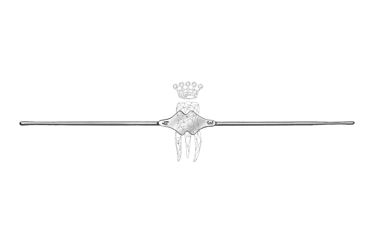 Myrtenblattsonde 1.4mm Bowman / Fistelsonde – Carl Martin, Explorers