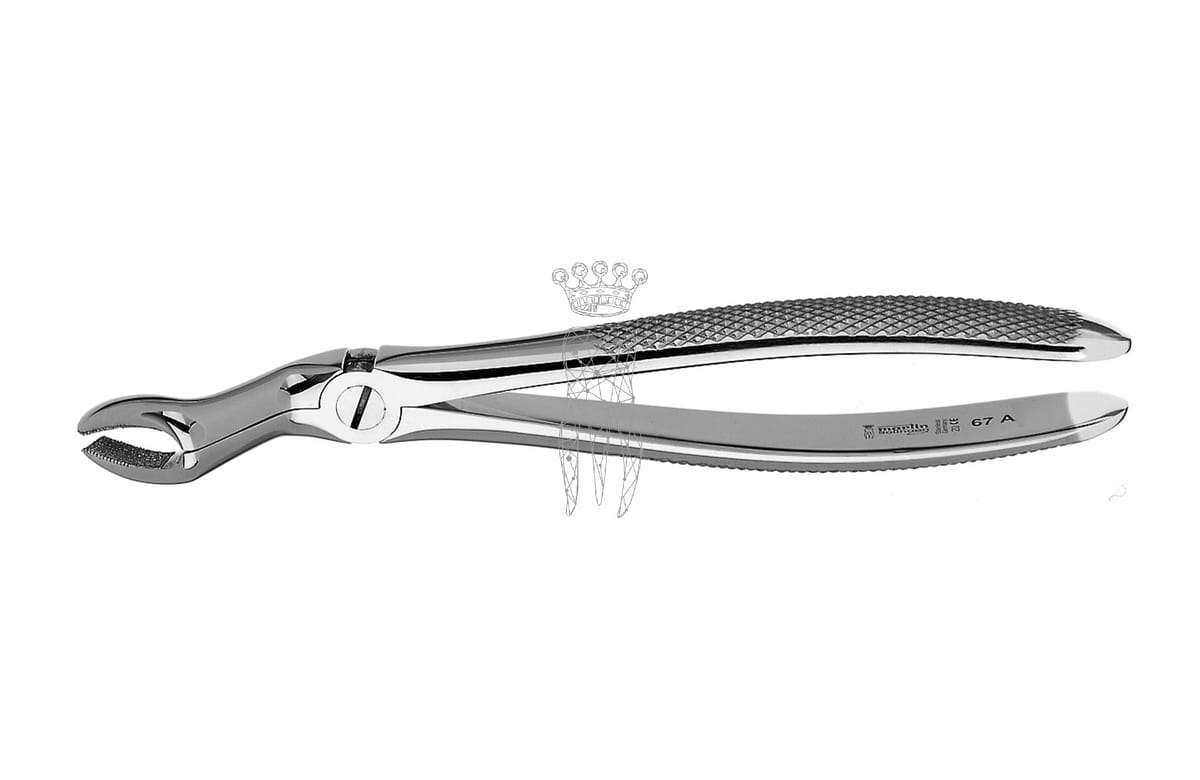 Zahnzange Haftrpofil OK Weisheit – Carl Martin, Extraction Forceps Upper Jaw