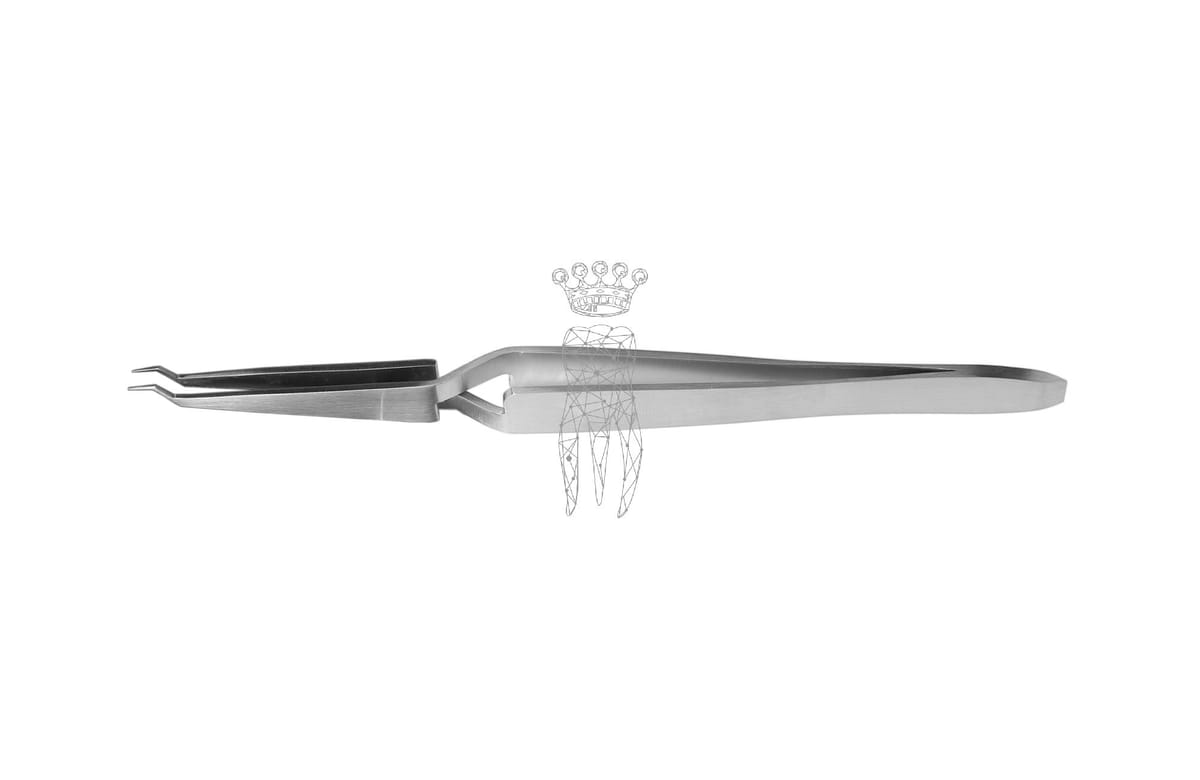 Lingual Bukkalröhrchen+Bracket Pinzette offset fein – Carl Martin, Bonding Tweezers