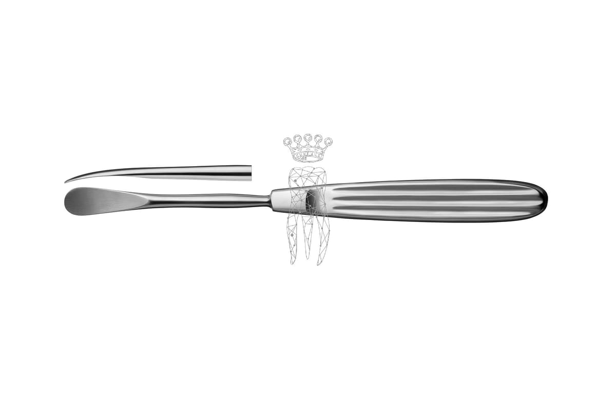 Raspatorium Obwegeser 11mm – Carl Martin, Periosteal Elevators - Elevators