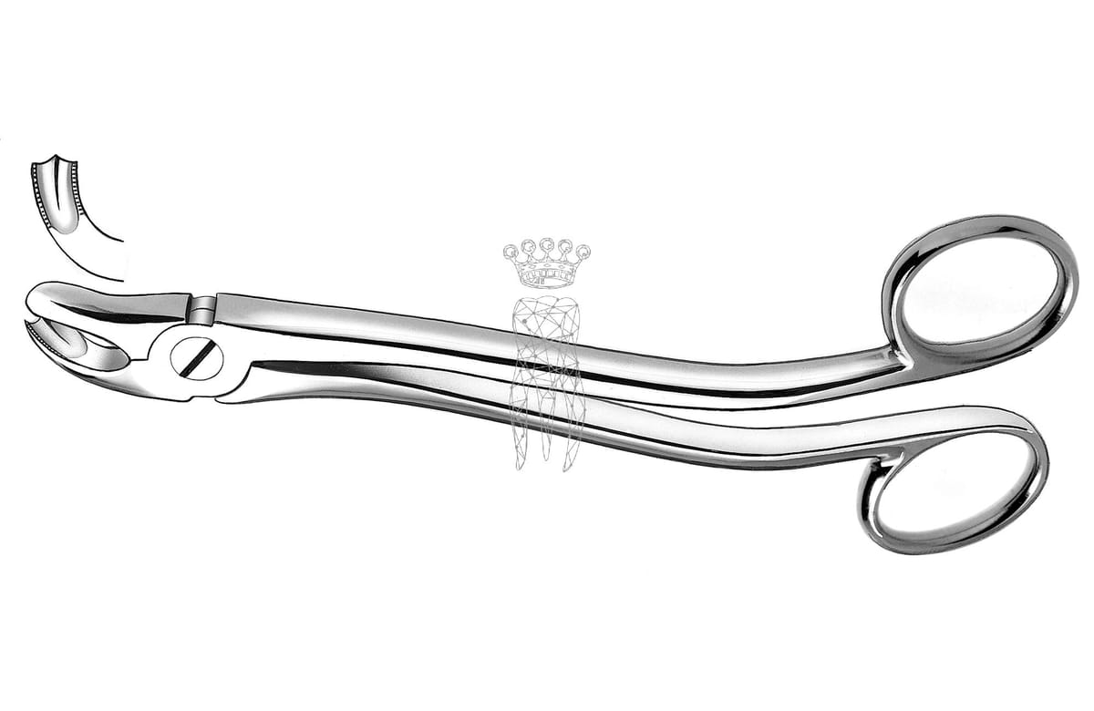 Zahnzange Köhler UK Weisheit – Carl Martin, Extraction Forceps Lower Jaw