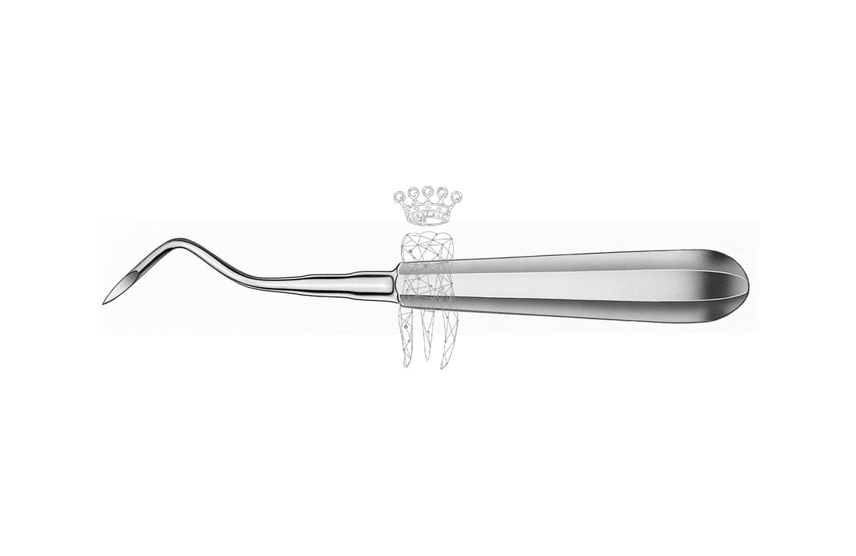 Wurzelrestentferner Heidbrink 2.5mm gebogen – Carl Martin, Wurzelheber