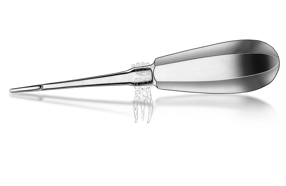 Wurzelheber Bein 2.5mm – Carl Martin, Wurzelheber