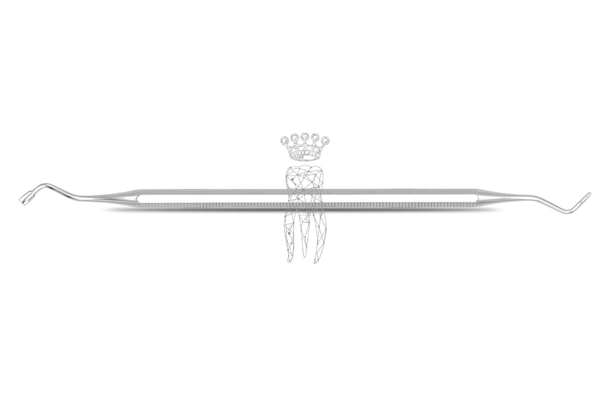 Füllungsinstrument Ash oval 2.5mm/1.0mm – Carl Martin, Composite-Instrumente