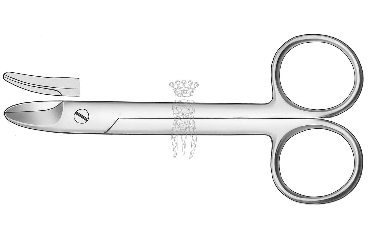 Kronenschere gebogen Beebee – Carl Martin, Crown Cutters, Amalgam Removers