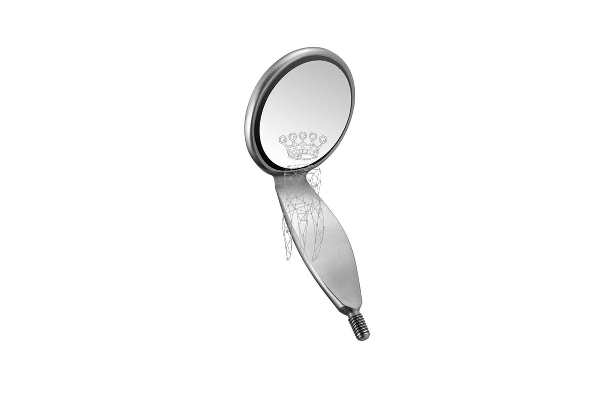 Mundspiegel One-Side Front-Surface plan 6 Stk. Ø 22mm – Carl Martin, Mouth Mirrors and Accessories
