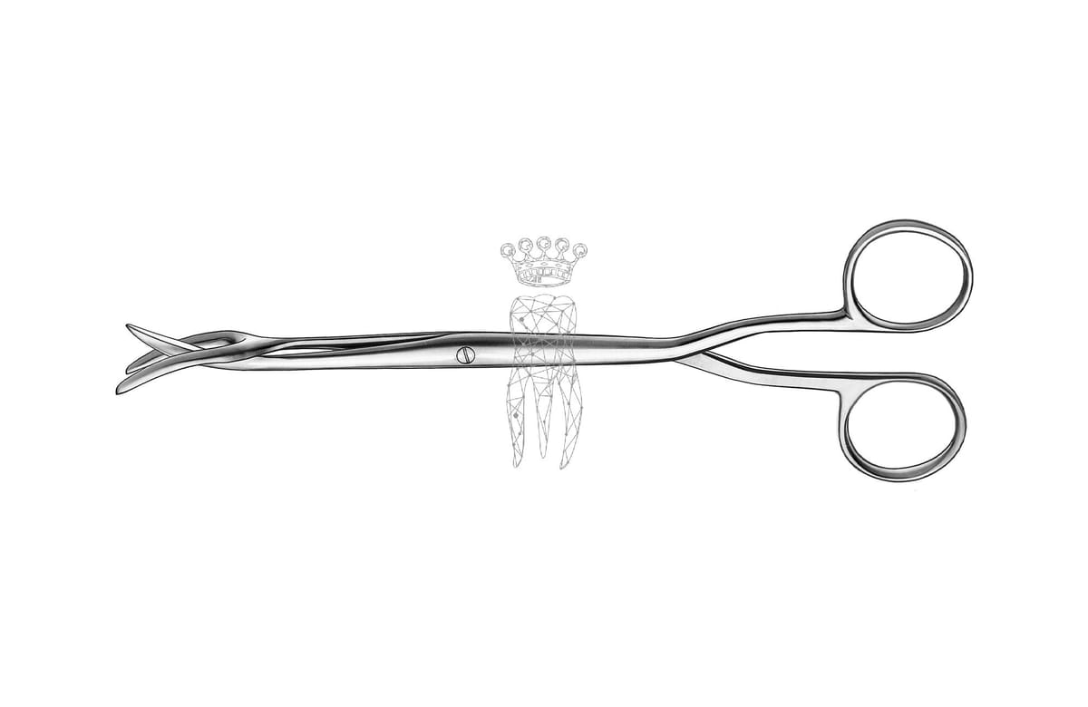 Sterilisierzange 19 cm – Carl Martin, Trays, Sterilcontainer und Zubehör