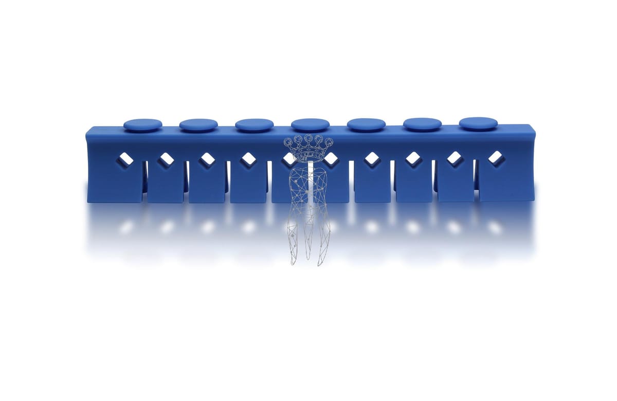 Silikon Niederhalter 3029-L + M 10 Instrumente - hellblau – Carl Martin, Sterilization Accessories