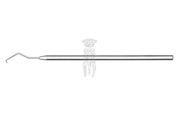Zahnsonde Häkchen Oktagonal-Griff