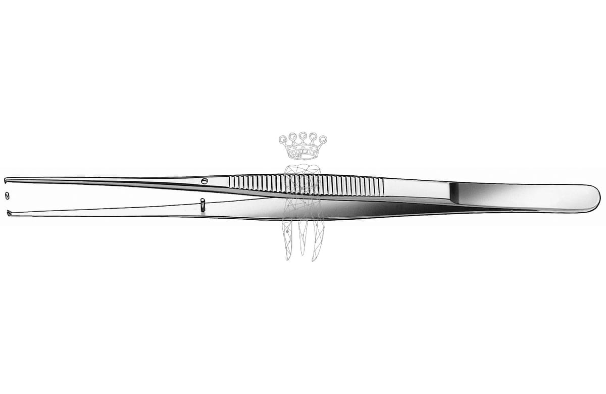 Chir.Pinzette Semken 15cm gerade – Carl Martin, Chirurgische Pinzetten