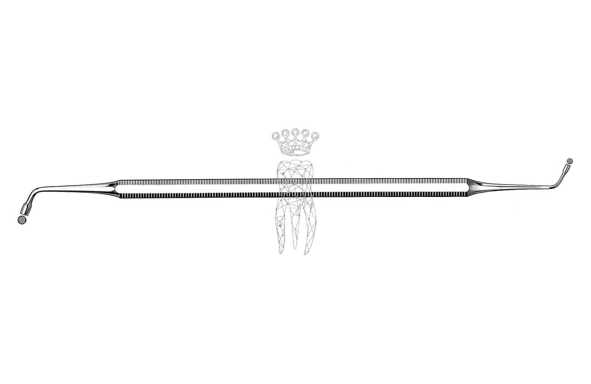 Füllungsinstrument Ash Ø 1.5mm/2.5mm – Carl Martin, Composite Instruments