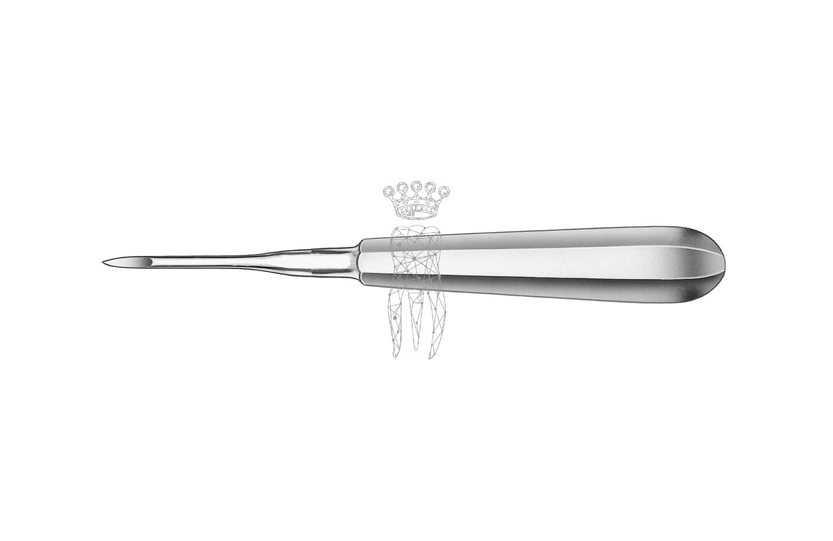 Wurzelrestentferner Heidbrink 2.5mm gerade – Carl Martin, Wurzelheber
