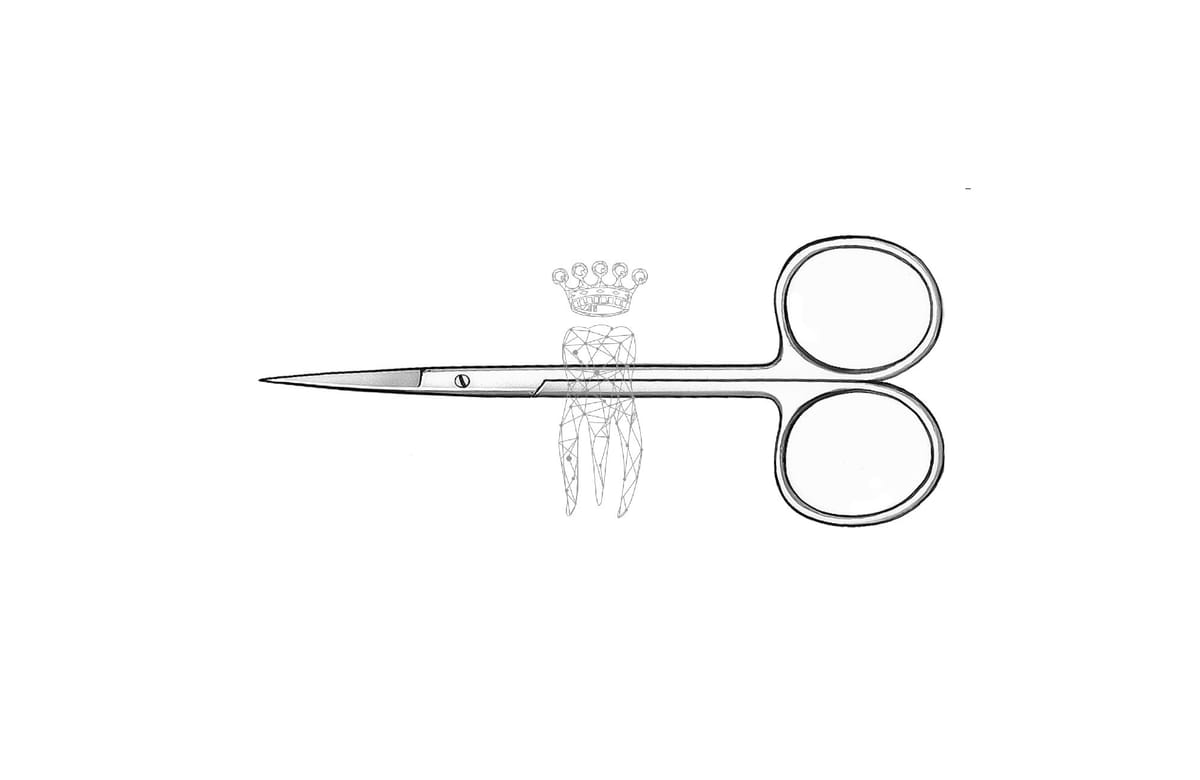 Zahnfleischschere gebogen 10.5cm – Carl Martin, Gingivektomiemesser - Zahnfleischscheren