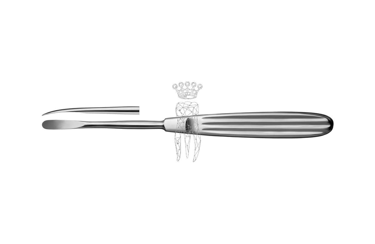 Raspatorium Obwegeser 6mm – Carl Martin, Raspatorien - Elevatorien