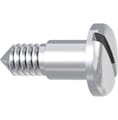 Slotted screw, long, for Herbst II 607-110-00 – DENTAURUM, Zubehör