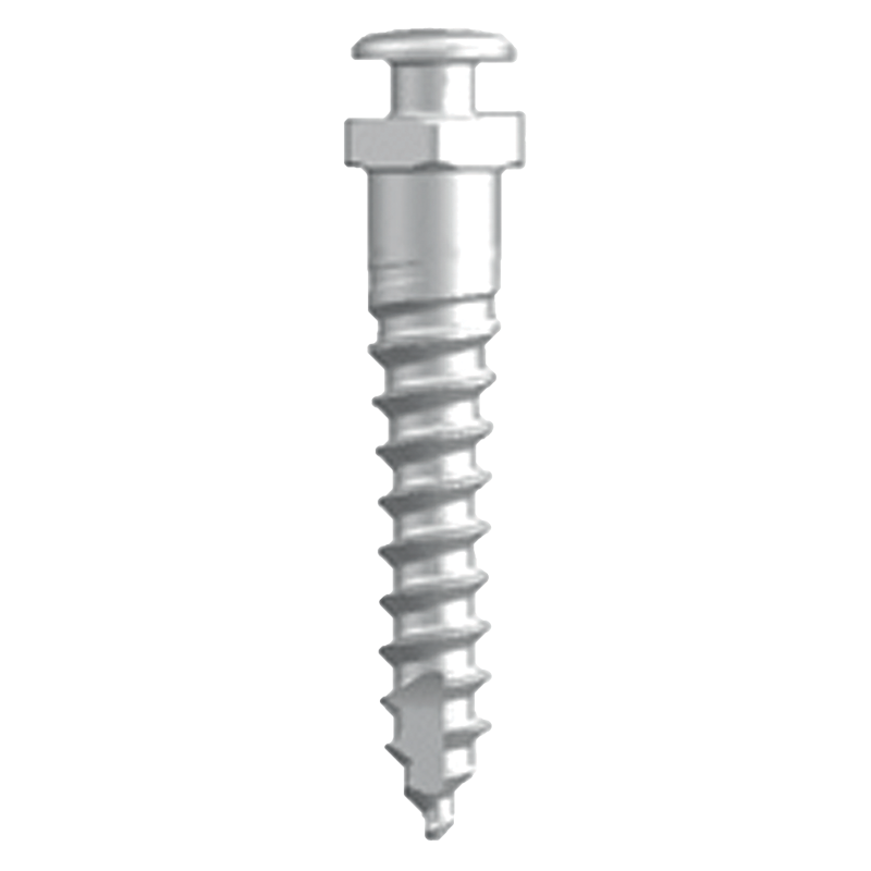 Schraubendreher-Set Excalibur – SIA ORTHODONTIC MANUFACTURER S.r.l., Anchorage Systems