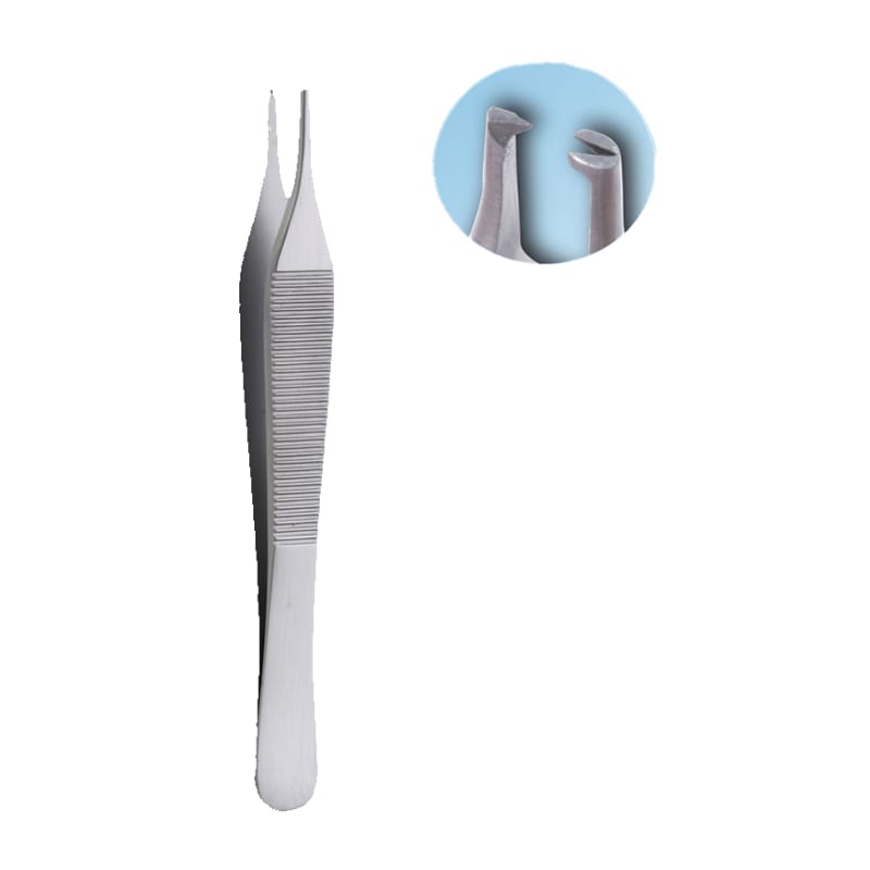 Adson Kocher Forceps: Precision Tool for Tissue Handling Procedures – Absolute Sport Srl Skeema Dental Italia, Pinzetten