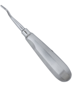 #77 Apical Root Elevator: Precision Instrument for Surgical Dental Procedures – Absolute Sport Srl Skeema Dental Italia, Elevators