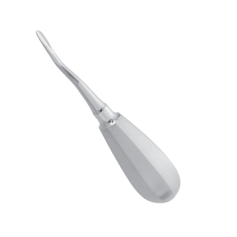 3mm Bayonet Distal Elevator: Precision Instrument for Dental Extractions – Absolute Sport Srl Skeema Dental Italia, Root Elevators