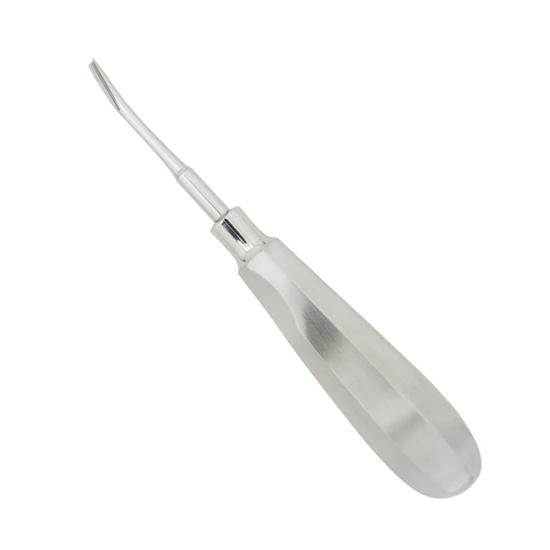 Coupland Elevator 3mm Curved #1: Precision Instrument for Delicate Dental Extractions – Absolute Sport Srl Skeema Dental Italia, Root Elevators