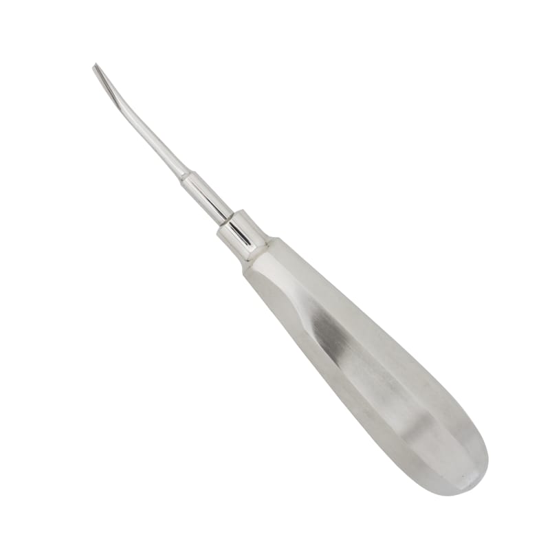Curved #3 Coupland Elevator: Precision Tool for Controlled Dental Extractions – Absolute Sport Srl Skeema Dental Italia, Root Elevators