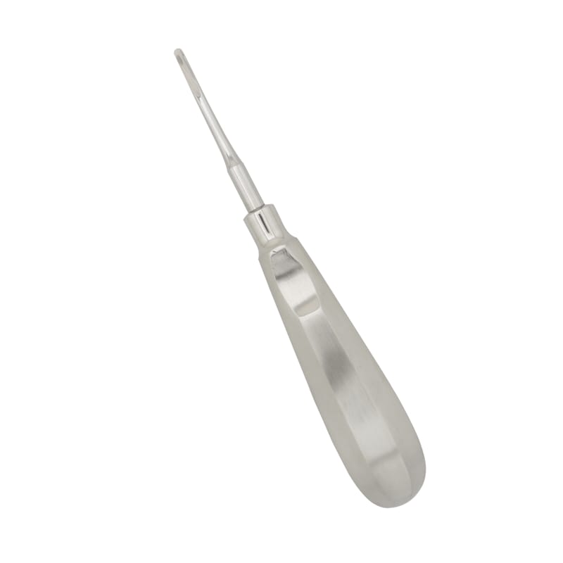3mm Luxating Root Elevator: Precision Instrument for Delicate Oral Surgery – Absolute Sport Srl Skeema Dental Italia, Root Elevators