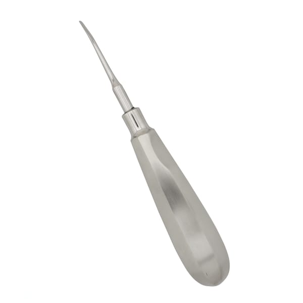 Precision Dental Tool: 2mm Curved Luxating Root Elevator Instrument