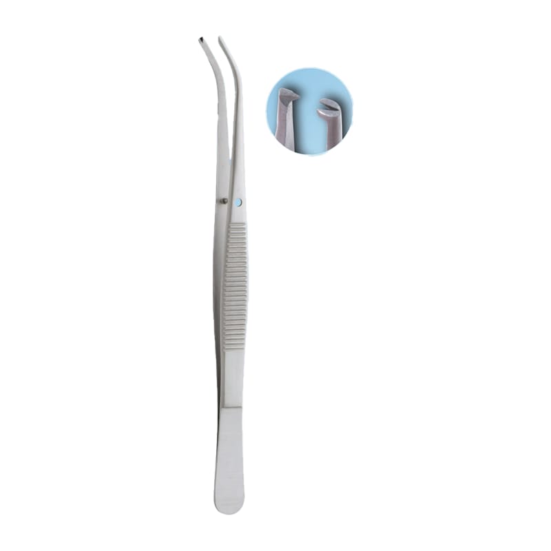 Tissue Forceps: Precision Tool for Surgical Procedures by Semekn Taylor – Absolute Sport Srl Skeema Dental Italia, Tweezers
