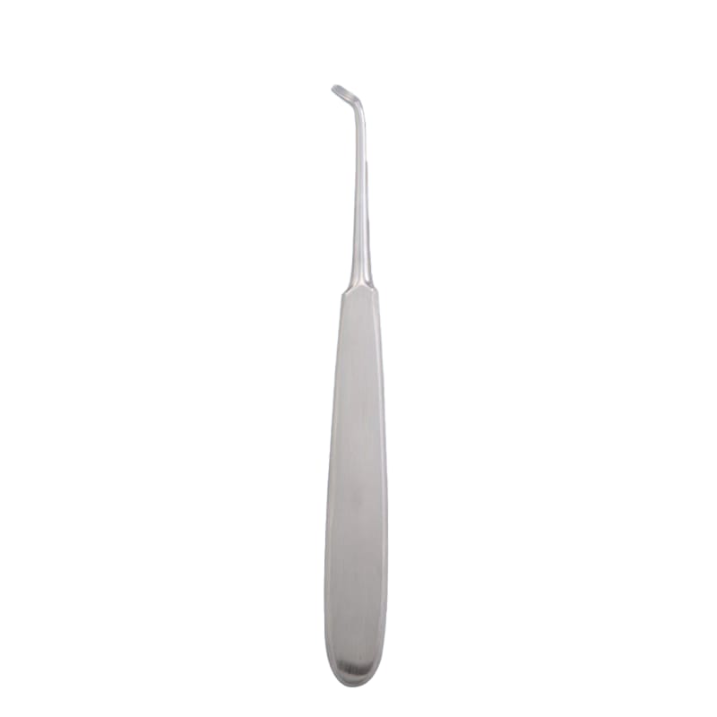 Warwick James Right Root Elevator: Precision Dental Extraction Instrument – Absolute Sport Srl Skeema Dental Italia, Root Elevators