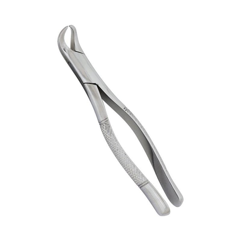 Efficient Extraction: Fig 23CH Cowhorn Forceps for Dental Procedures – Absolute Sport Srl Skeema Dental Italia, Extraction Forceps