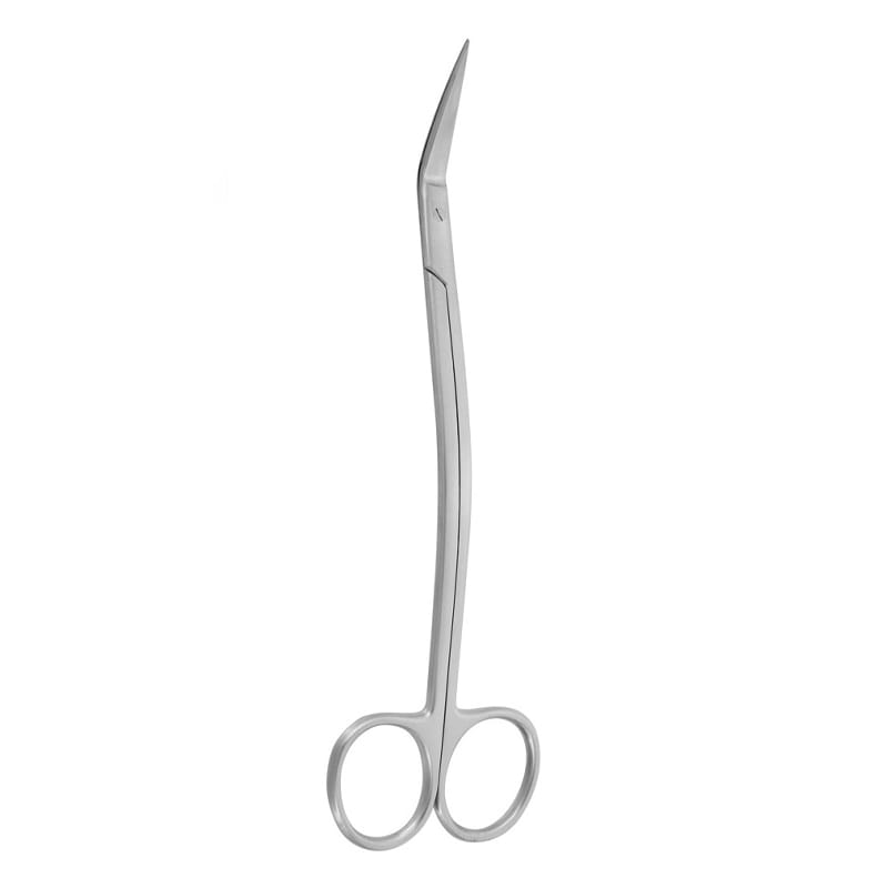 Precision Cuts: 17cm Curved Dean Tonsil Surgical Scissors – Absolute Sport Srl Skeema Dental Italia, Scalpels and Accessories