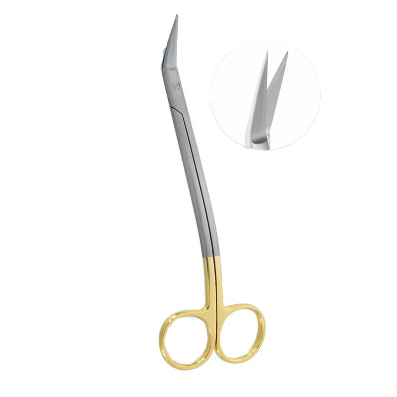 Precision Cuts: 17cm Curved Dean Tonsil TC Surgical Scissors – Absolute Sport Srl Skeema Dental Italia, Surgical Instruments