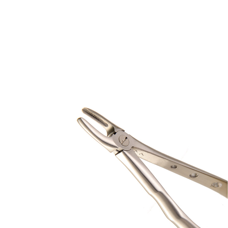 Efficient Extraction: Fig 29 Forceps for Upper Root Procedures – Absolute Sport Srl Skeema Dental Italia, Extraction Forceps