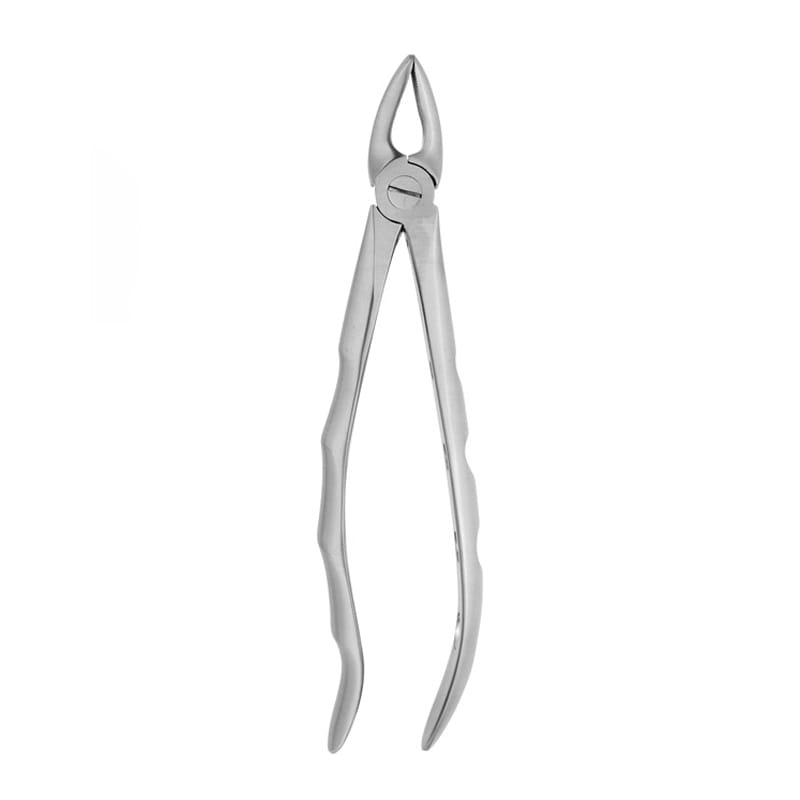 Precision Extraction: Fig 30 Forceps for Upper Root Procedures – Absolute Sport Srl Skeema Dental Italia, Extraction Forceps