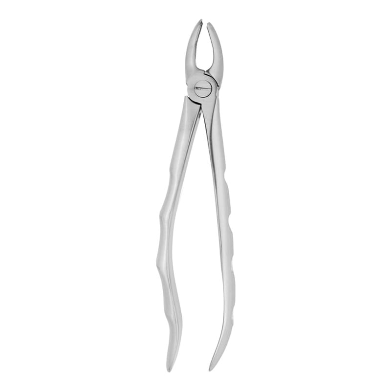 Right-Sided Precision: Fig 17 Forceps for Upper Molars Extraction – Absolute Sport Srl Skeema Dental Italia, Extraction Forceps