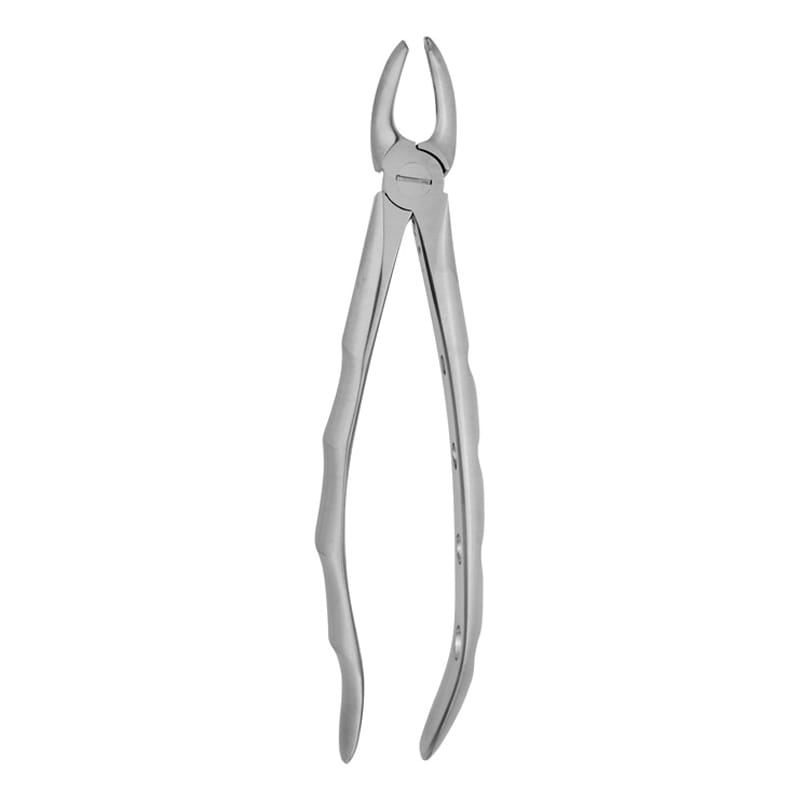 Left-Side Precision: Fig 18 Forceps for Upper Molar Extractions – Absolute Sport Srl Skeema Dental Italia, Extraction Forceps