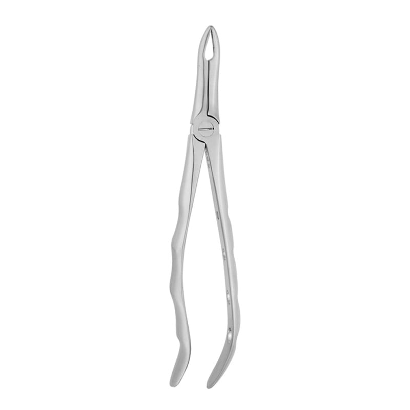 Fine Precision: Fig 49 Forceps for Upper Root Extractions – Absolute Sport Srl Skeema Dental Italia, Extraktionszangen
