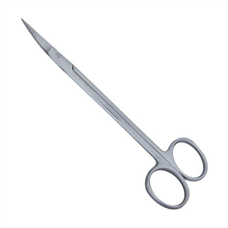 Precision Cuts: 16cm Straight Kelly Surgical Scissors for Professionals – Absolute Sport Srl Skeema Dental Italia, Scalpels & Blades