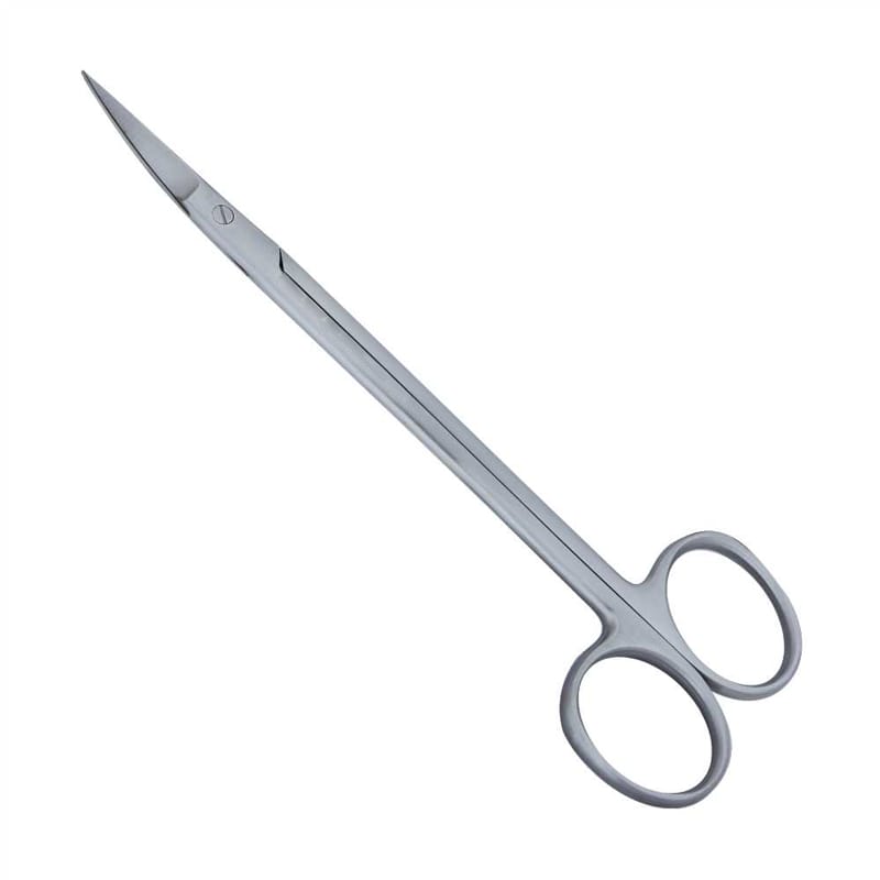 Precision Cuts: 16cm Straight Kelly Surgical Scissors for Professionals – Absolute Sport Srl Skeema Dental Italia, Skalpelle und Zubehör