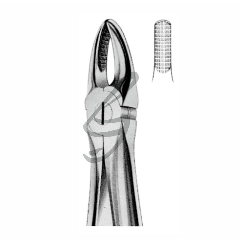 Zahnzange Fig 1 – Soligs, Extraction Forceps