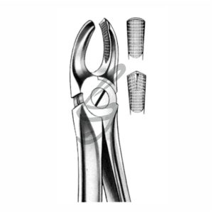 Zahnzange Fig 18 – Soligs, Extraction Forceps