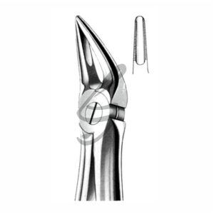 Zahnzange Fig 30 – Soligs, Extraction Forceps