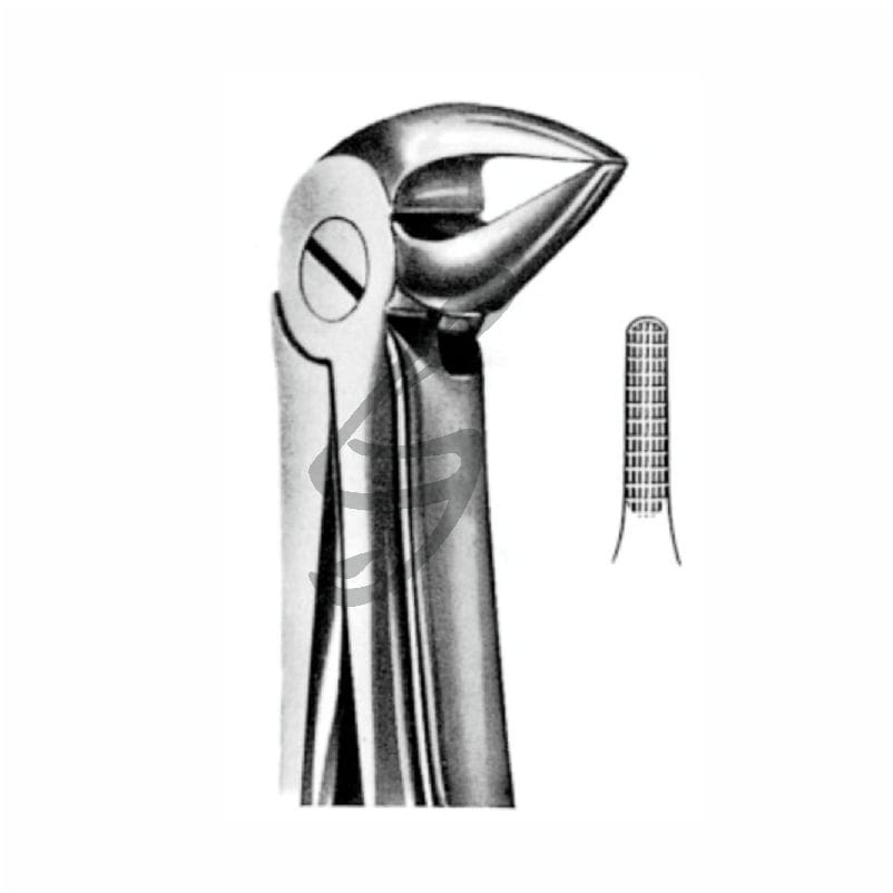Zahnzange Fig 33A – Soligs, Extraction Forceps